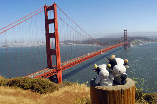 Golden Gate Bridge